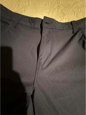 Fabletics Pants